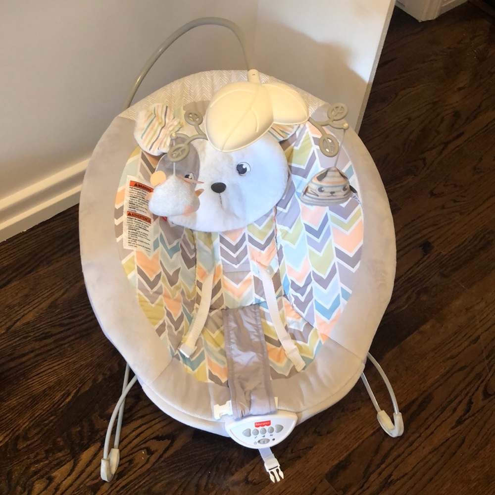 Fisher price baby bouncer